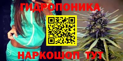 гашик Камышлов