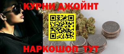 гашик Камышлов