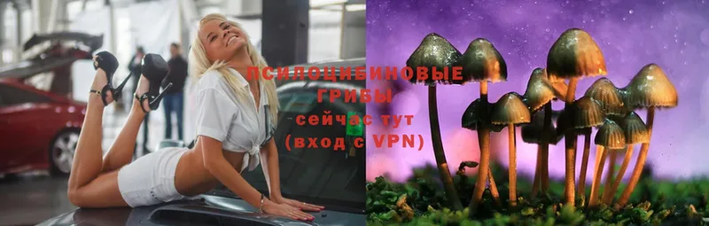 где продают наркотики  Москва  Псилоцибиновые грибы MAGIC MUSHROOMS 